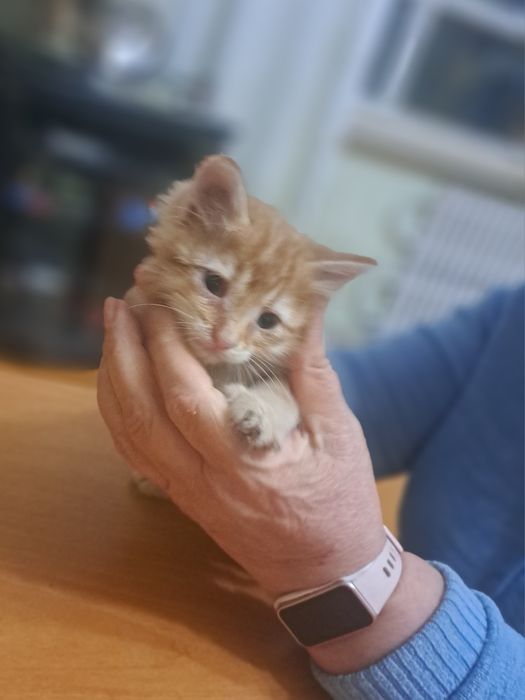 Добрые ручки для малыша