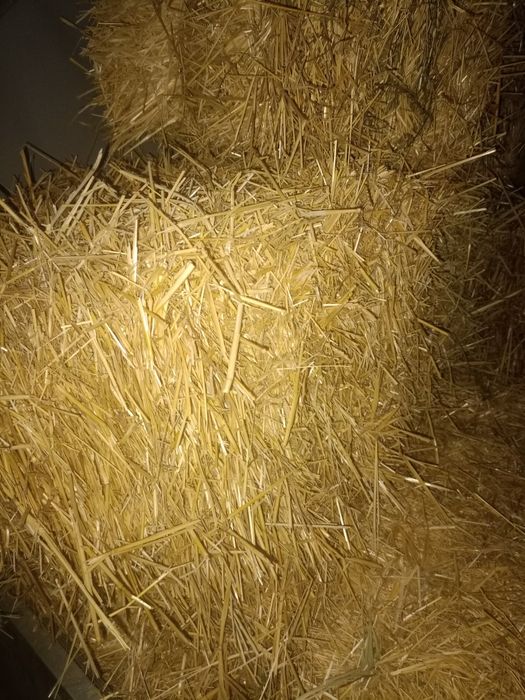 Солома в тюках сухая чистая в городе,