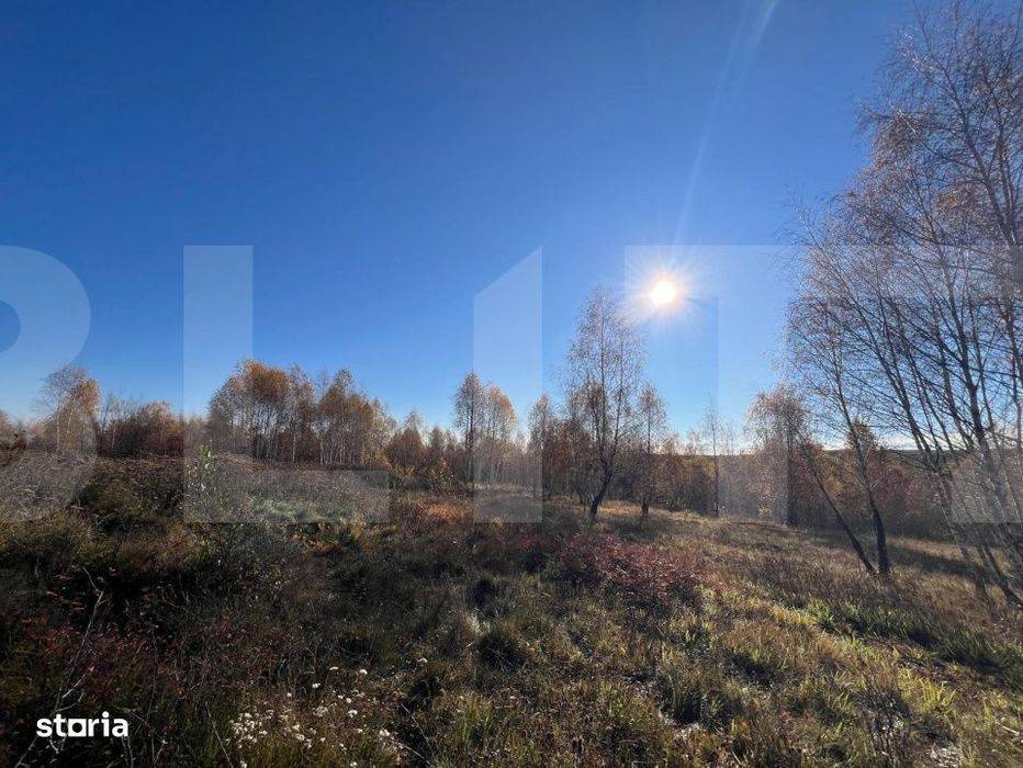 Teren construibil de vanzare, zona casele Micesti