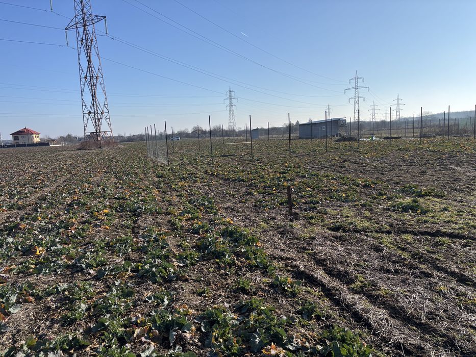 Vand teren intravilan suprafata 440 mp direct proprietar