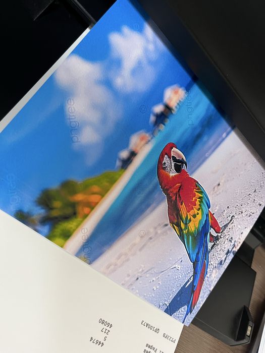 Принтер Epson L1800
