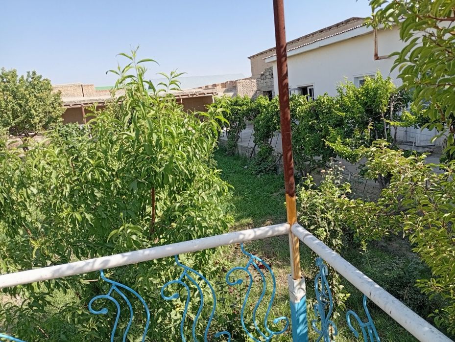 Дом на участке 12 соток.  сад 2сотки.