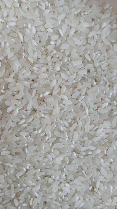 Хоразим гуручлари сотилади