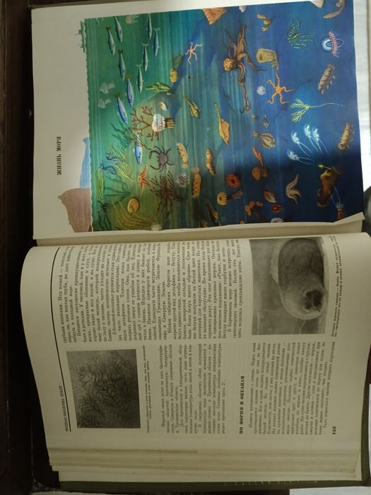 Детская энциклопедия