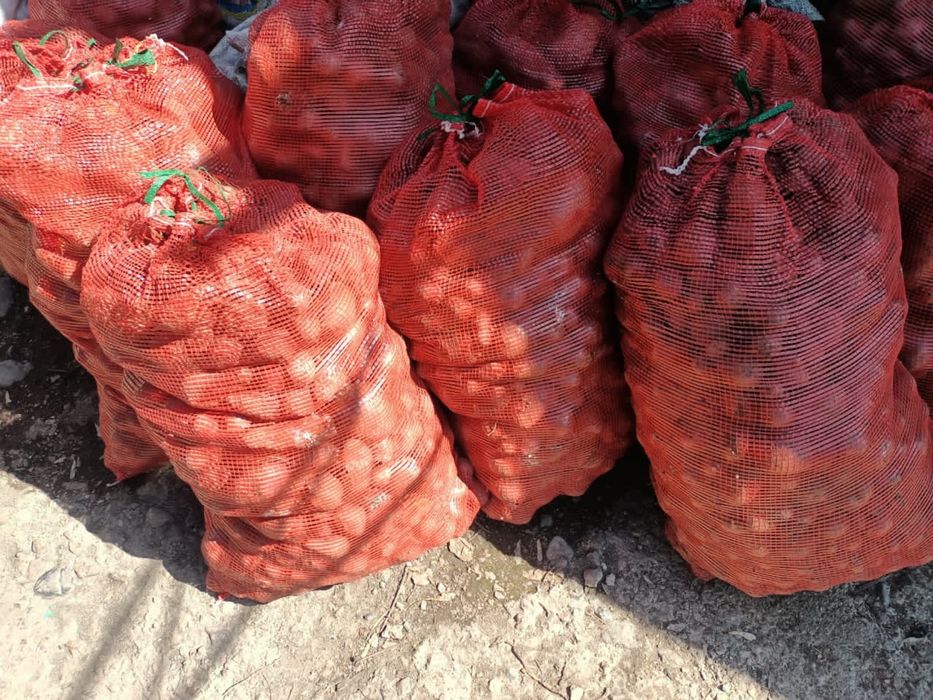 продается картошка