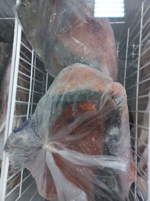 Свежая рыба свежая рыба