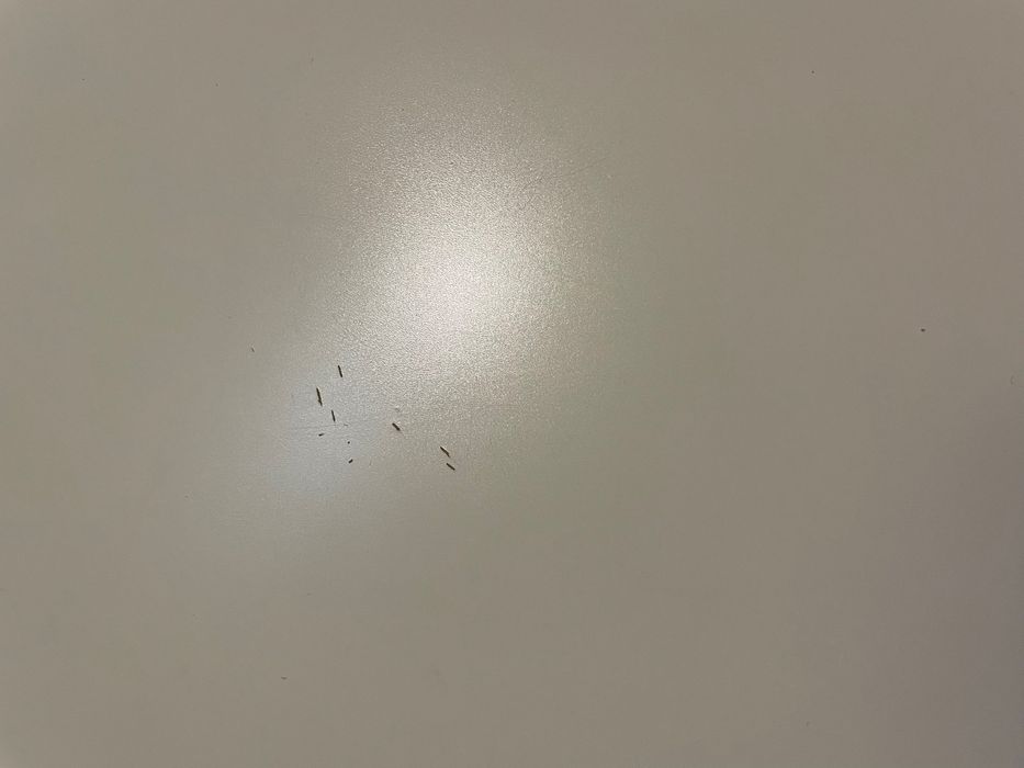 Детско/Ученическо бюро ИКЕА Micke 2бр