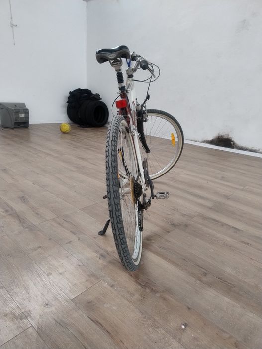 Bicicleta adulti