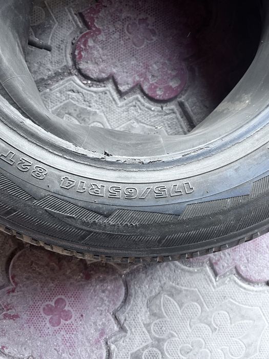 Шина в одном экземпляре