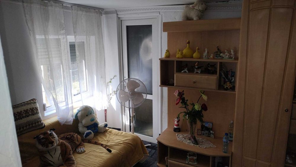 Casa de vanzare cu teren generos