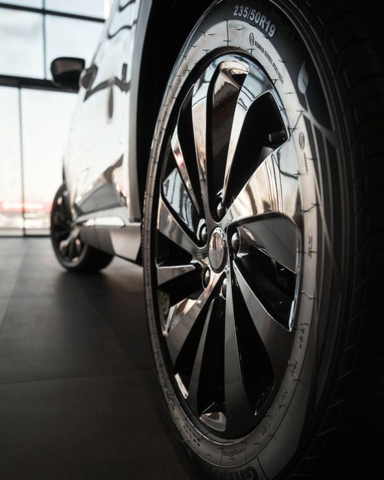 Byd champion 2026 хамма рангидан