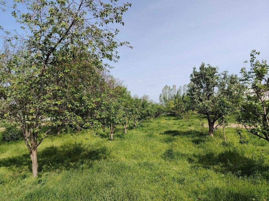 Yer uchaskasi sotiladi