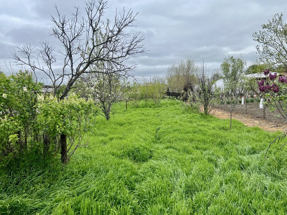 Teren intravilan 6576 mp, comuna Curcani si casa caramida