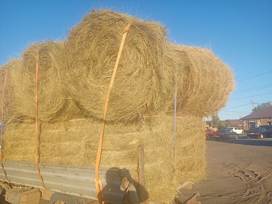 Продам сено житняк в руках