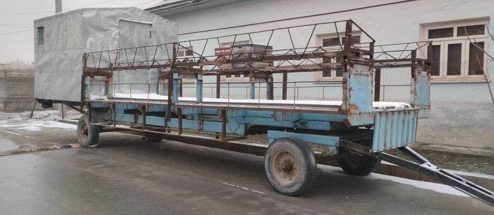 Asal ari oilasi telachkasi kamplekt