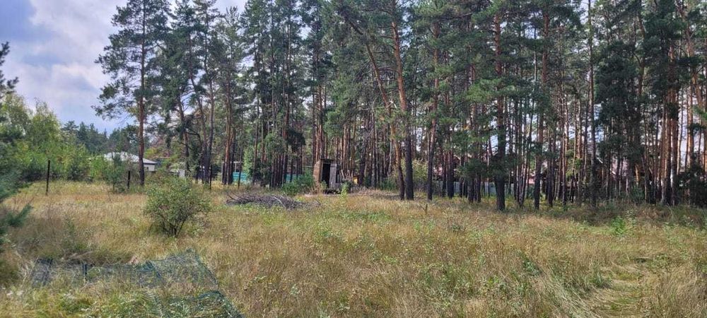 Продается земельный участок в Сосновом Бору 12 соток