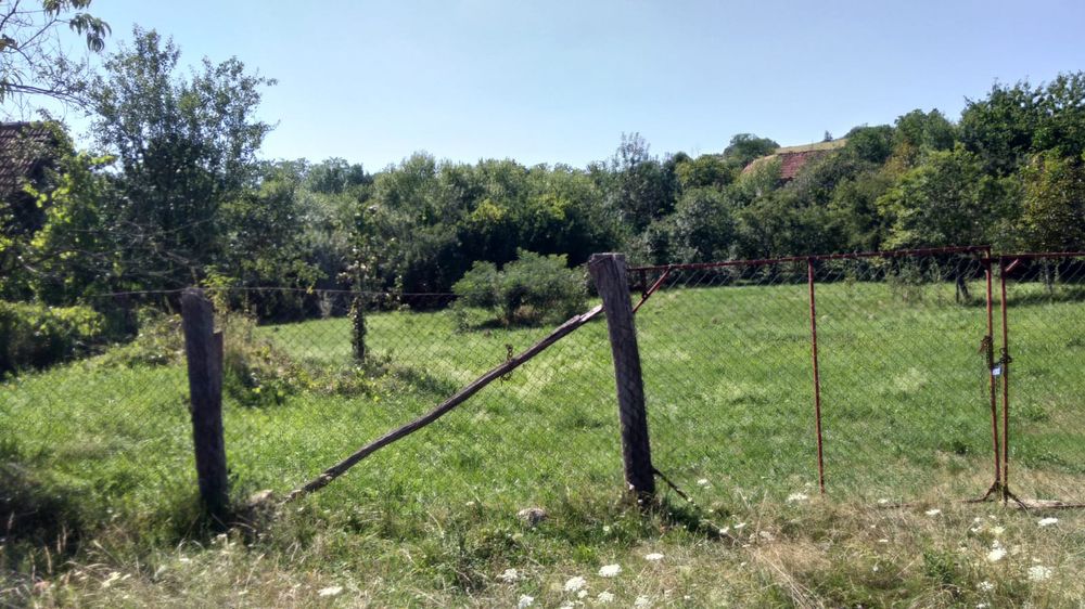 Vand casa in Susani