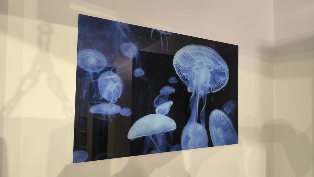 Tablou sticla meduze