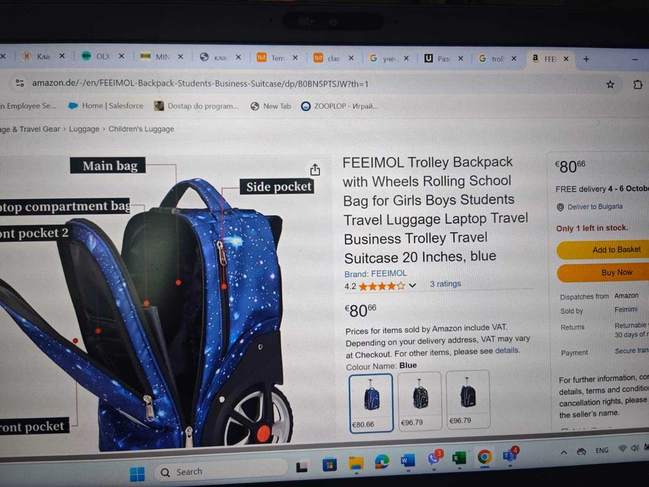 Раница, ученическа, тролей