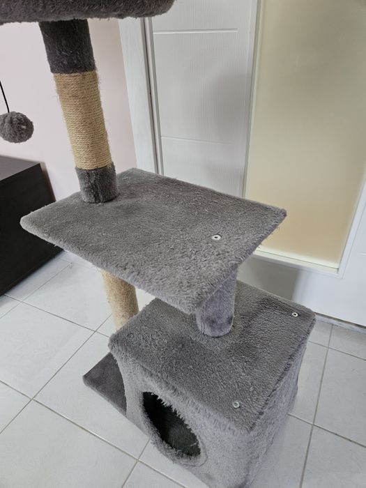 Котешка катерушка