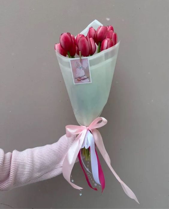 Тюльпаны •тюльпаны тюльпаны тюльпаны тюльпаны