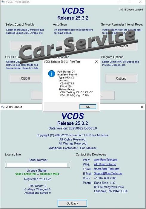 Vagcom Hex V2, ARM STM32F429, VCDS 25.3.2 Engleza Romana, updatabila