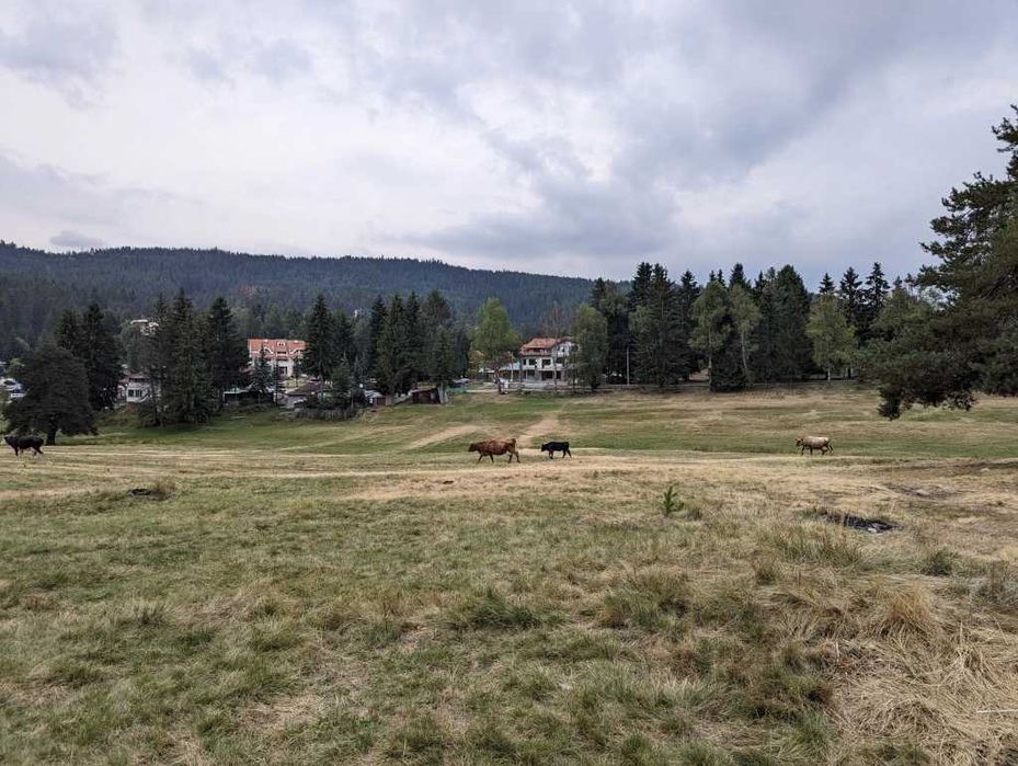 Атрактивен имот в центъра на с.Юндола