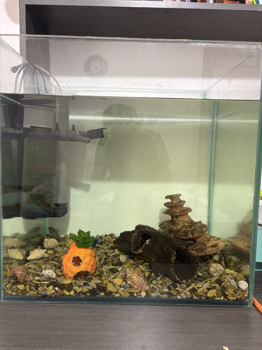 Аквариум 100 литров