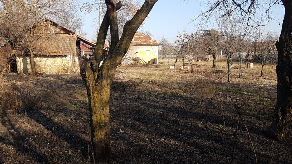 Curte de vanzare comuna Crevedia,sat Cocani,Dambovita