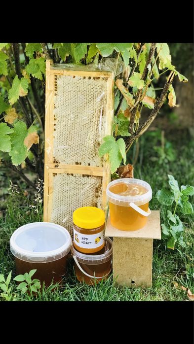 Продаю натуральный мёд