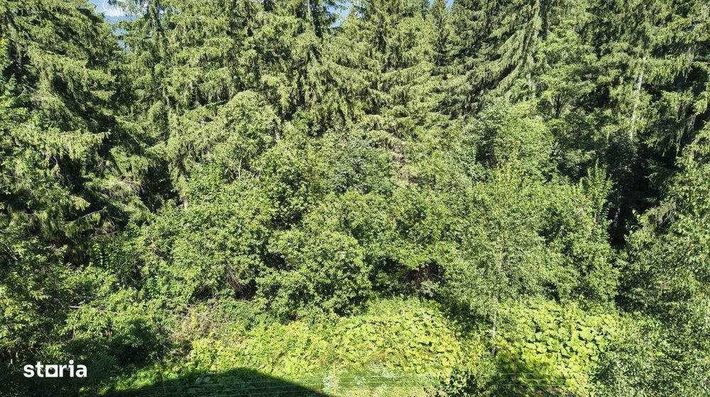 Apartament 2 camere zona Cioplea-Vedere spre Masivul Postavaru