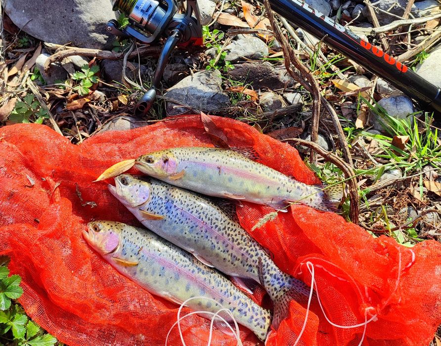 Экскурсионные походы по горам Узбекистана, так же рыболовные туры