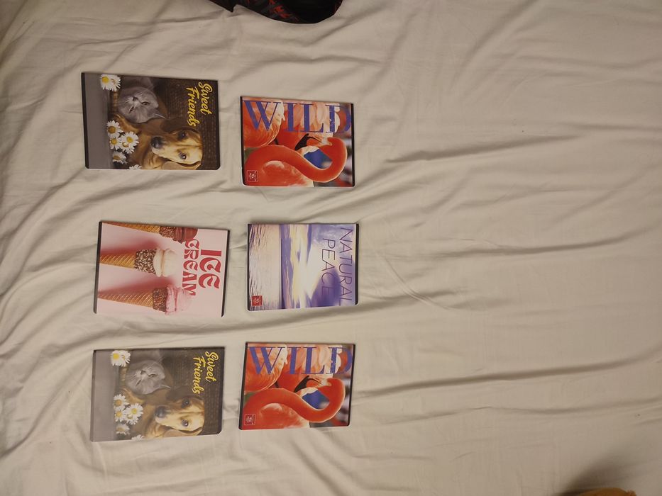 Set 6 caiete mici, 3 romana, 3 matematica