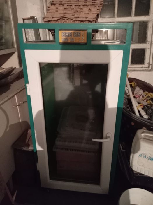 Инкубатор балапан