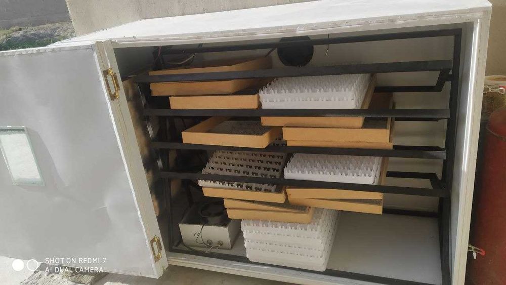 Inkubator 1056 talik.Ummuman ishlatilmagan.Yangi.Polniy Atomat.