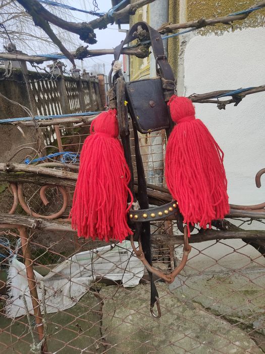 Vand sau schimb ham ponei