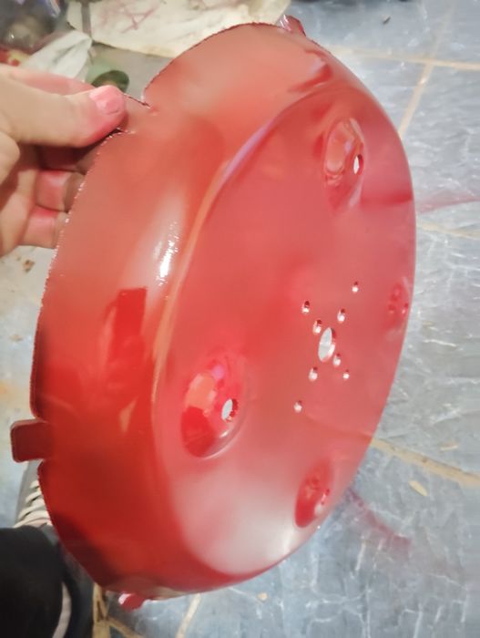 Ruminski selka zabchast