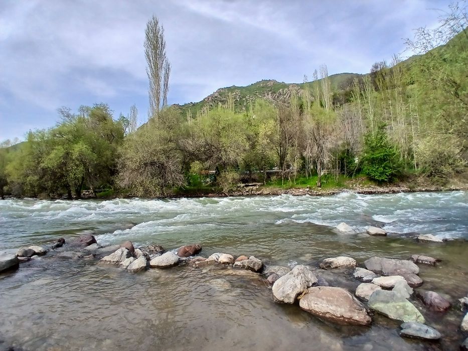 Такси в горы из Ташкента