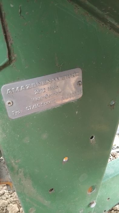 Semanatoare  amazone