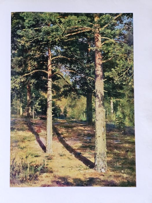 Шишкин. Исскуство. Живопись