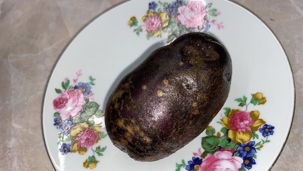 Продам Картофель