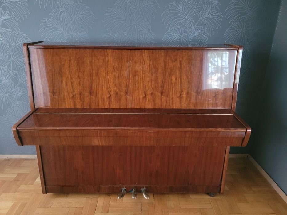 Пияно Чайка / Tchaika