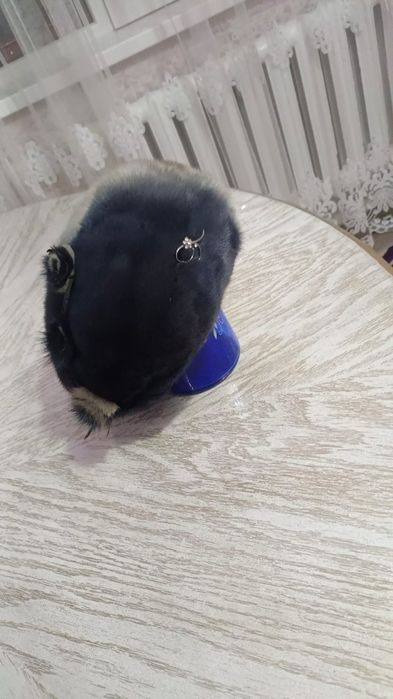 норкавая шапка...