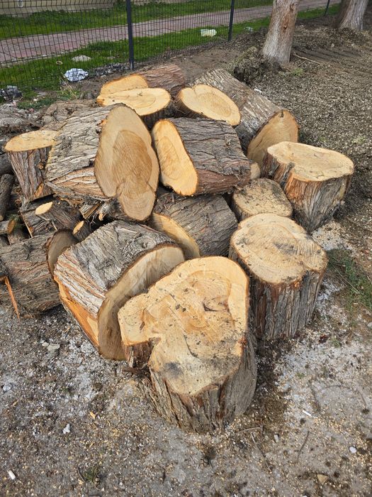 Дърва за огрев, около 2,5 куб.