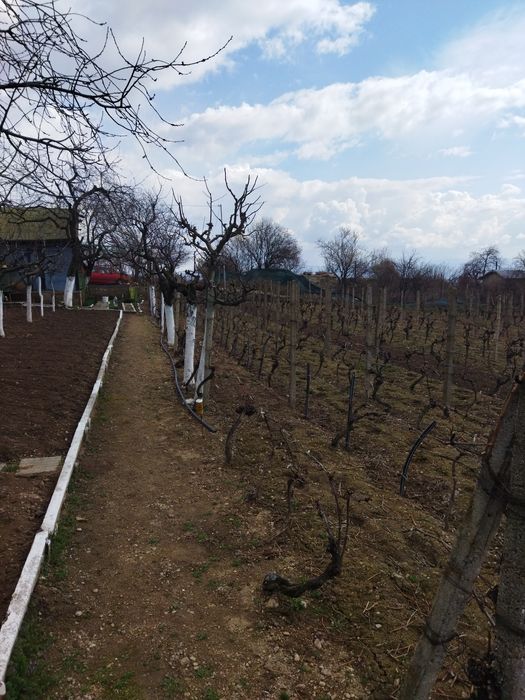 Продава се Земеделски имот в Сопот -  кв.м за 13 €/дка - Снимка #3