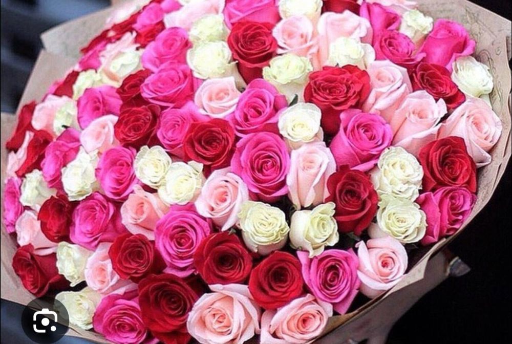 51шт Роза 12.04.26