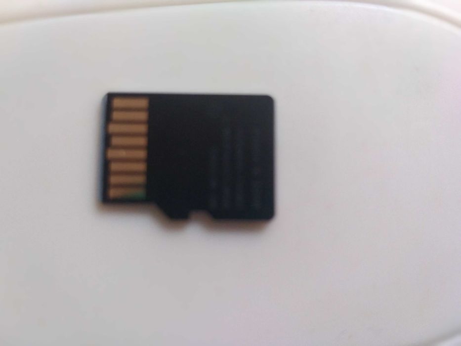 MicroSDXC EVO Plus 256GB