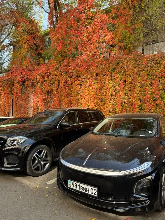 аренда hongqi eqm5