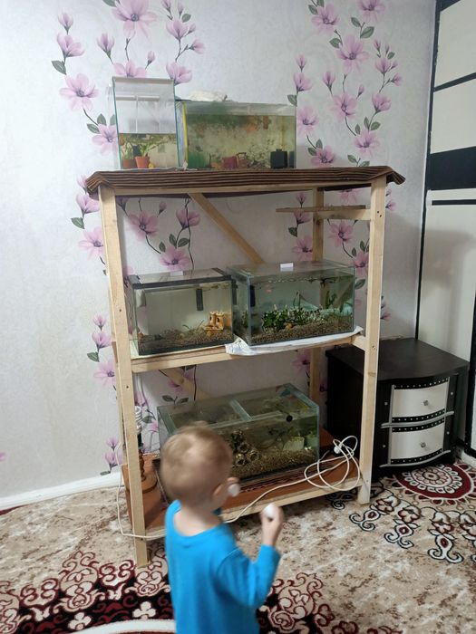 Продаю аквариумы