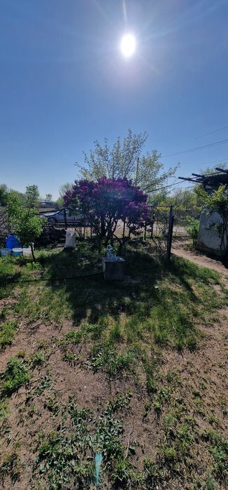 Срочно продам дачу